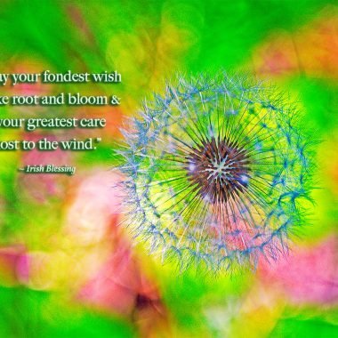 Fondest wish birthday card. Wish in a garden with blessing