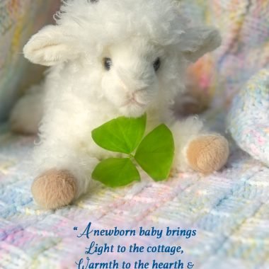 New baby shower sheep card